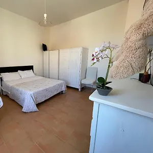 Cattleya , Olbia Italia